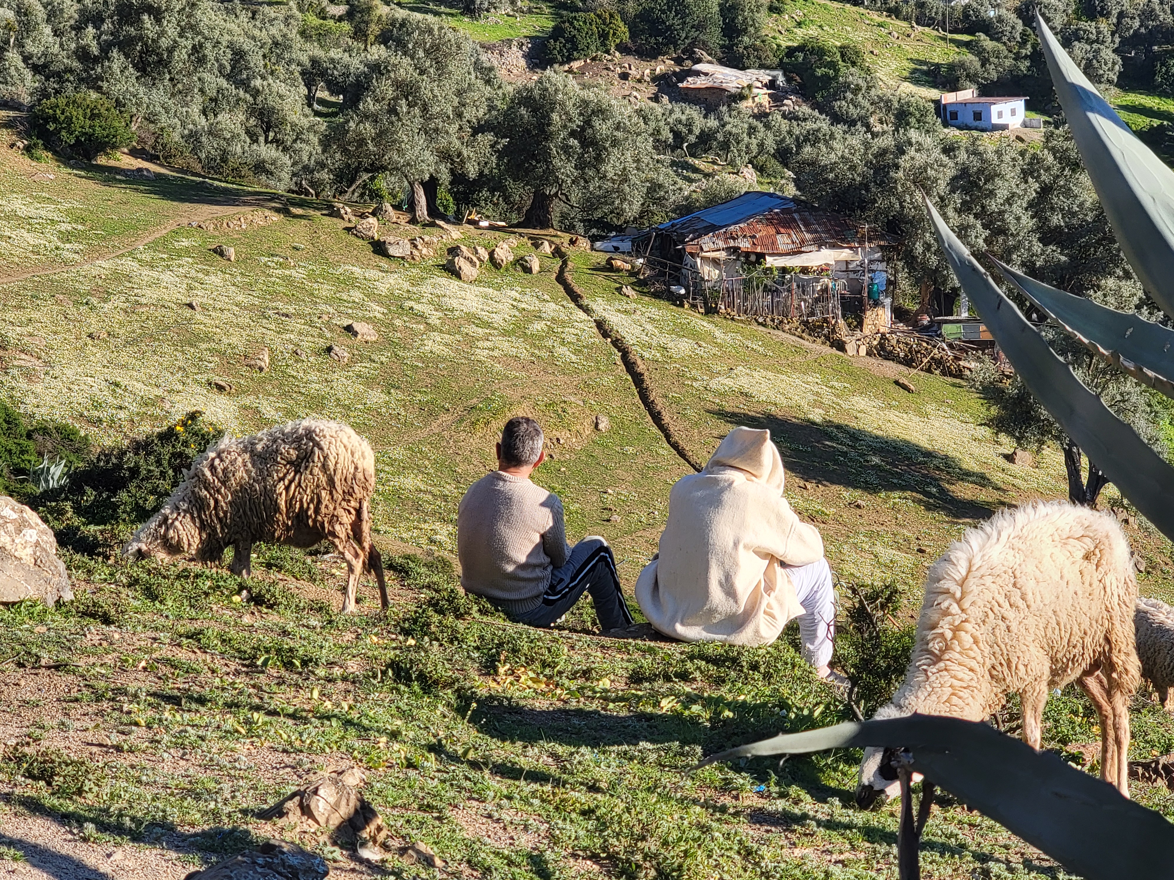 Chefchaouen