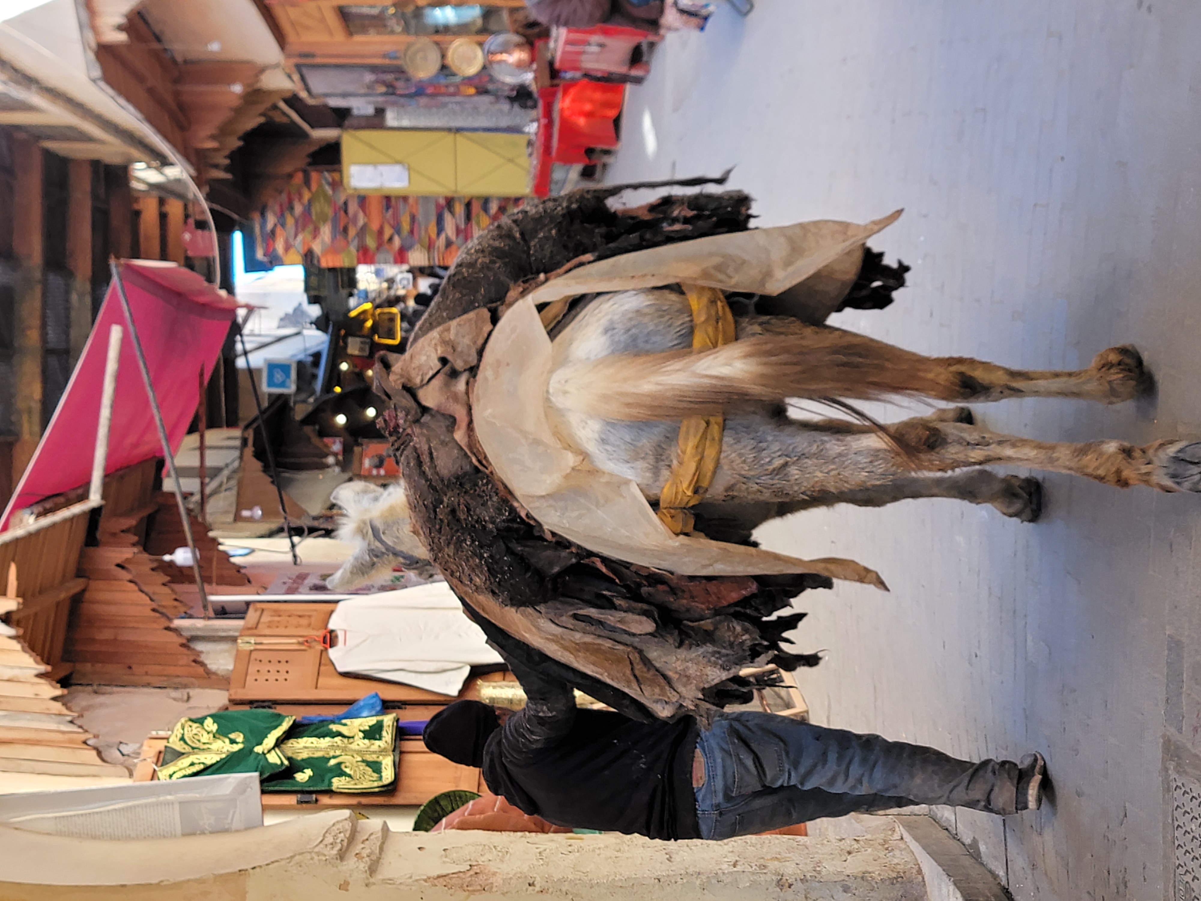 Fès