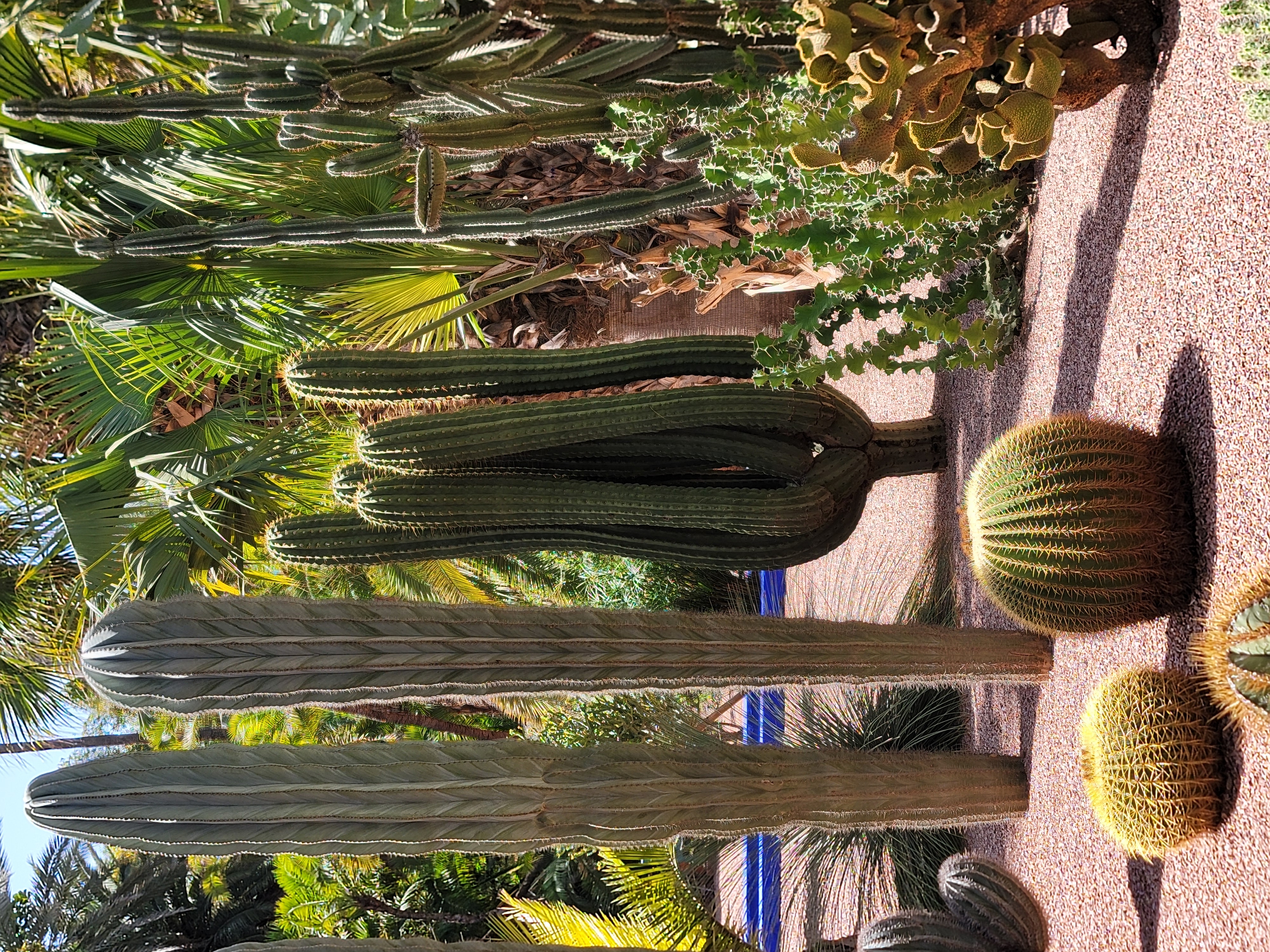 Marrakech